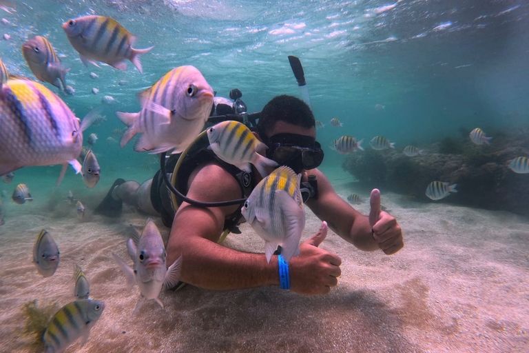 mergulho piscinas naturais